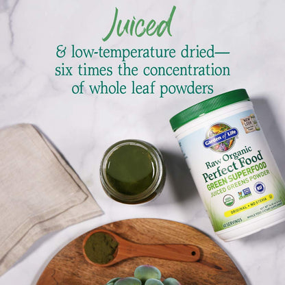 Garden of Life Raw Organic Perfect Food Green Superfood Juiced Greens Powder - Chocolate, 30 Servings (Packaging May Vary) - Nirvana Guru