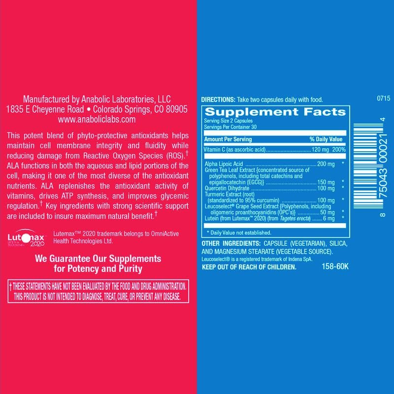 Superfood Based Potent Antioxidant Supplement - Broad Spectrum Herbal Antioxidant Blend with Polyphenols Proanthocyanidins and Green Tea Catechins for Daily Wellness and Immune Support - 30 Servings Nirvana Guru