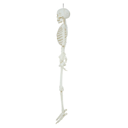 5ft Light Up Poseable Skeleton Decoration, Halloween Outdoor Decor, by Way To Celebrate nirvanaguru