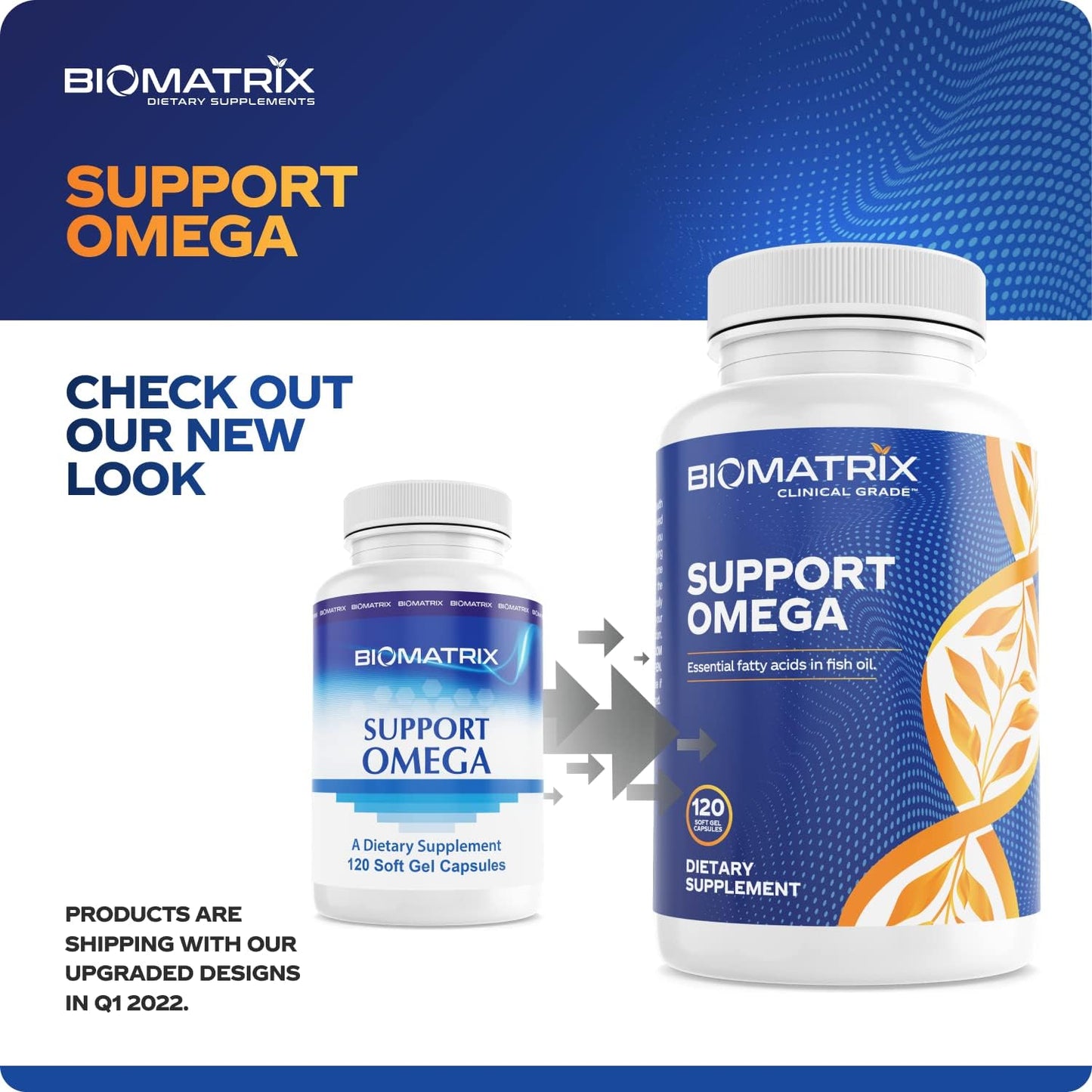 Support Omega (120 Gel Capsules) Omega 3 Fish Oil Supplement - Cardiovascular, Musculoskeletal Support Nirvana Guru
