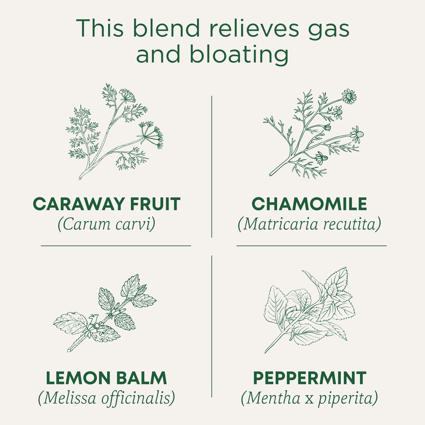 Traditional Medicinals Tea, Organic Gas Relief, Relieves Gas & Bloating, Chamomile Mint, 16 Tea Bags - Nirvana Guru