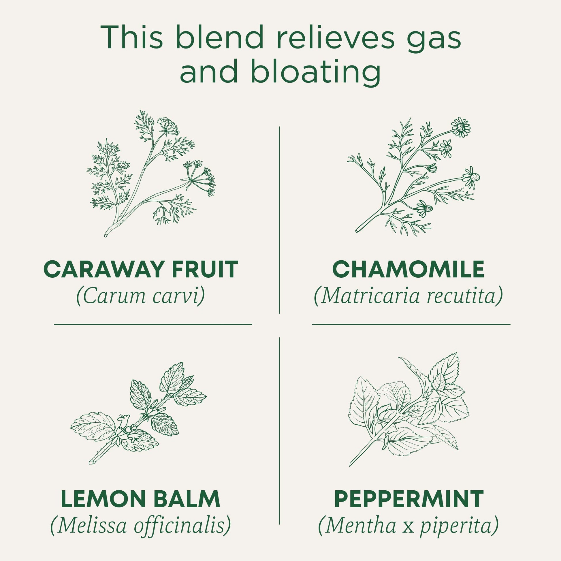 Traditional Medicinals Tea, Organic Gas Relief, Relieves Gas & Bloating, Chamomile Mint, 16 Tea Bags - Nirvana Guru