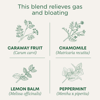 Traditional Medicinals Tea, Organic Gas Relief, Relieves Gas & Bloating, Chamomile Mint, 16 Tea Bags - Nirvana Guru