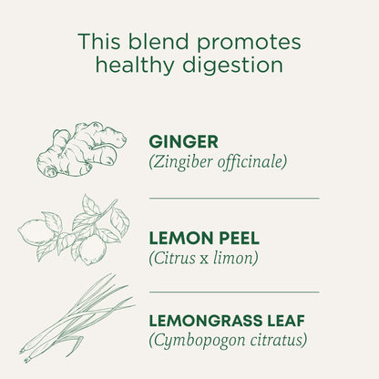 Traditional Medicinals Tea, Organic Ginger, Healthy Digestion, Pleasantly Spicy & Warming, 16 Tea Bags - Nirvana Guru