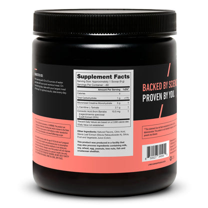 LEGION Recharge Post Workout Drink - Micronized Creatine Monohydrate Natural Post Workout Recovery Drink - Muscle Builder & Recovery Booster Post Workout Supplements (Strawberry Lemonade, 30 Servings) Nirvana Guru
