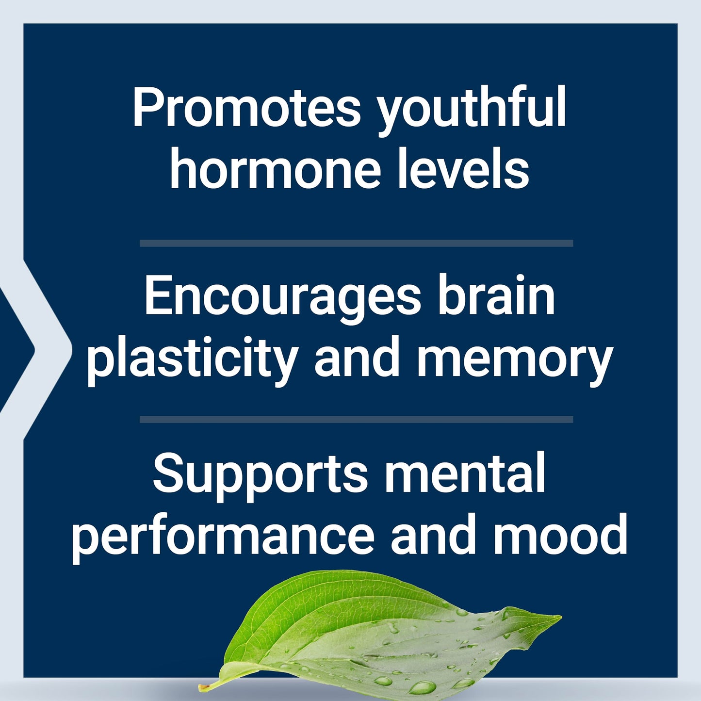 Life Extension Pregnenolone - Hormone Balance Supplement for Healthy Hormone Levels, 100 mg - Hormone Balance, Memory, Focus, Cognitive Health - Gluten-Free, Non-GMO, 100 Capsules - Nirvana Guru