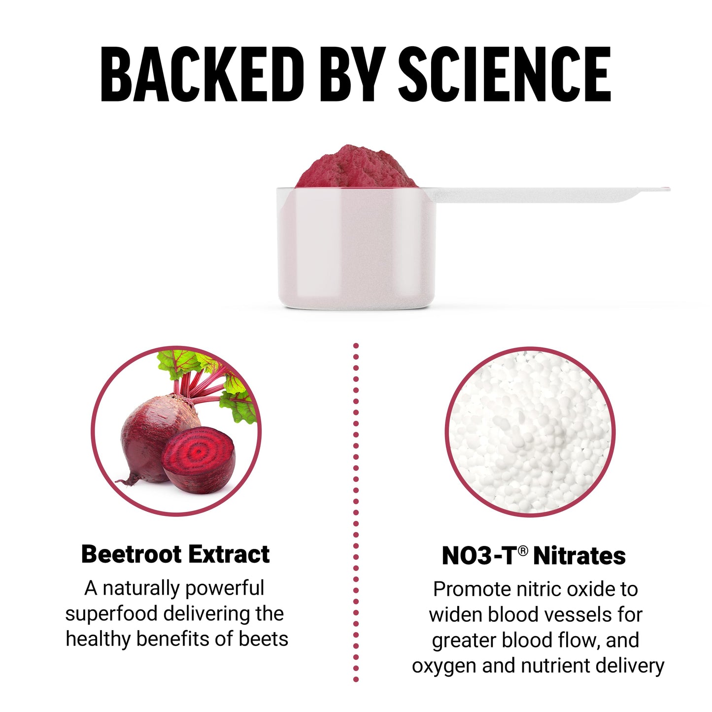 Force Factor Total Beets Drink Mix Superfood Powder with Nitrates to Support Circulation, Blood Flow, Nitric Oxide, Energy, Endurance, and Stamina, Cardiovascular Heart Health Supplement, 30 Servings Nirvana Guru