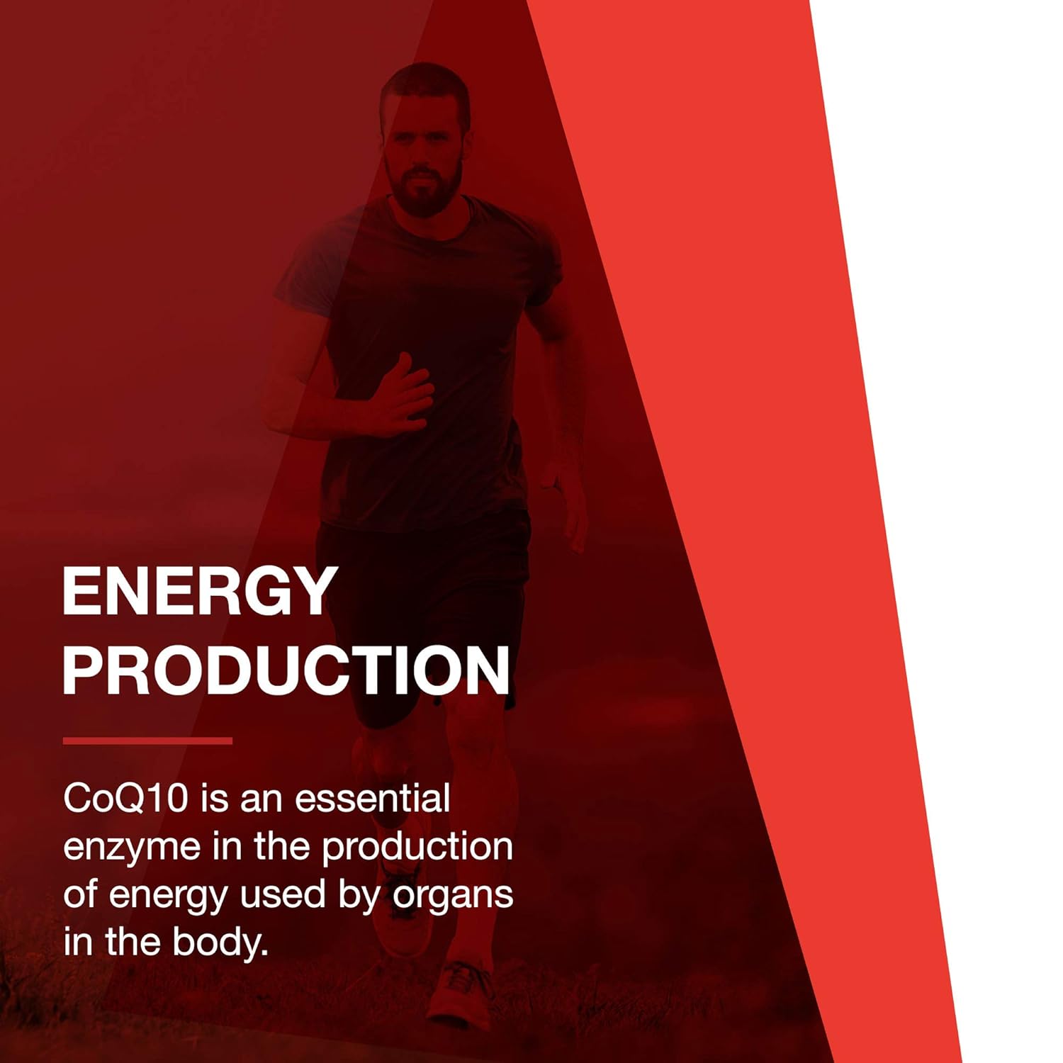 Protocol For Life Balance - Ubiquinol 100 mg - Cardiovascular Support with Active Form of CoQ10, Supports Energy Production, Heart Health, Antioxidant Activity - 60 Softgels Nirvana Guru