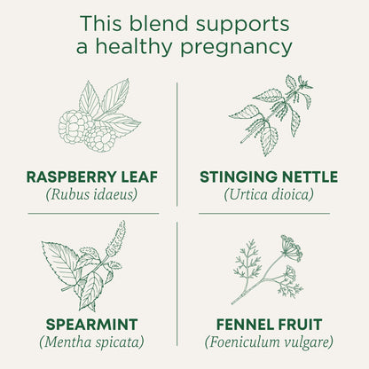 Traditional Medicinals Tea, Organic Healthy Cycle, Supports Healthy Menstrual Cycles, Includes Spearmint,16 Tea Bags - Nirvana Guru