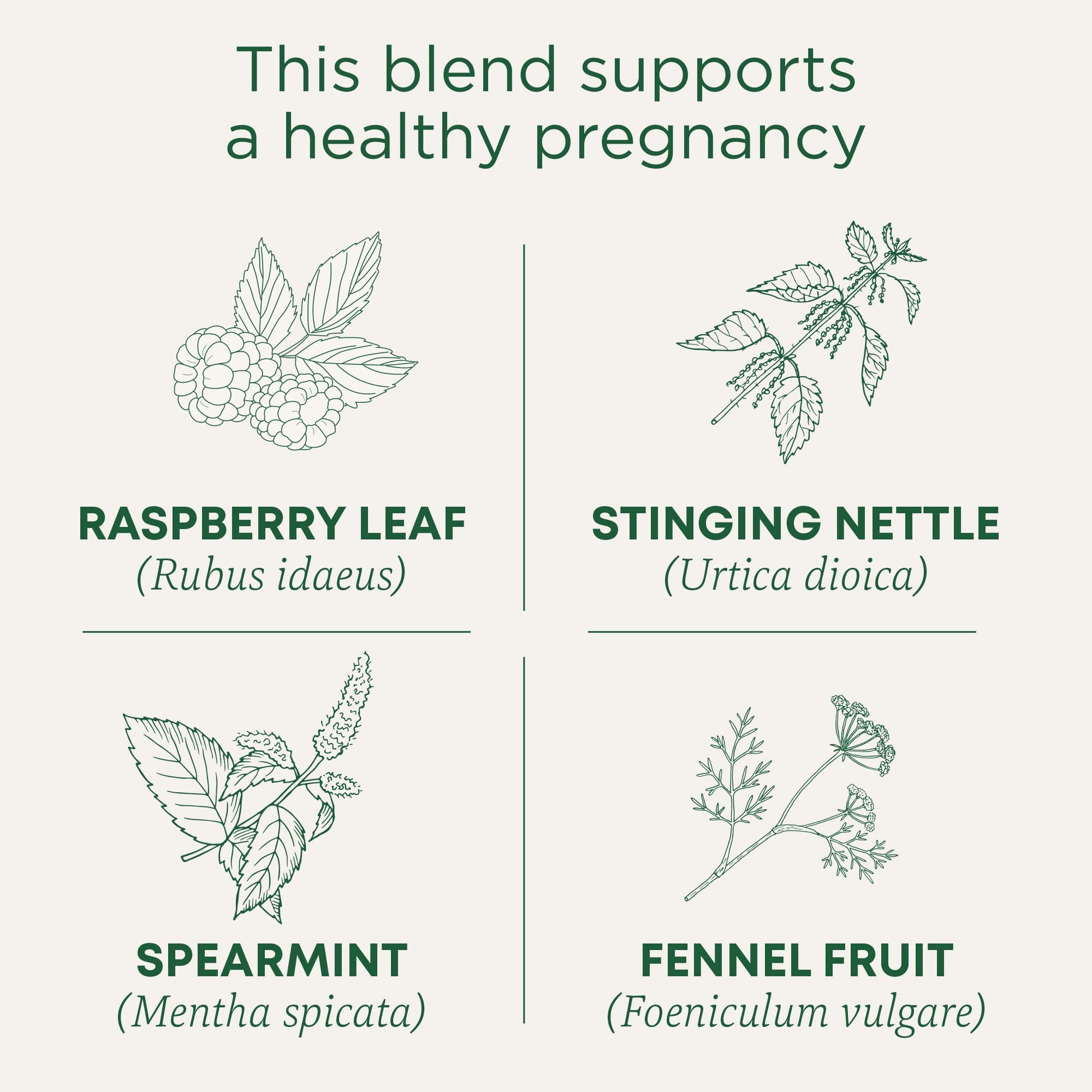 Traditional Medicinals Tea, Organic Healthy Cycle, Supports Healthy Menstrual Cycles, Includes Spearmint,16 Tea Bags - Nirvana Guru