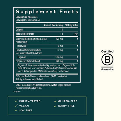Gaia Herbs Adrenal Health Daily Support - with Ashwagandha, Holy Basil & Schisandra - Herbal Supplement to Help Maintain Healthy Energy & Stress Levels - 120 Vegan Liquid Phyto-Capsules (120 Count) - Nirvana Guru