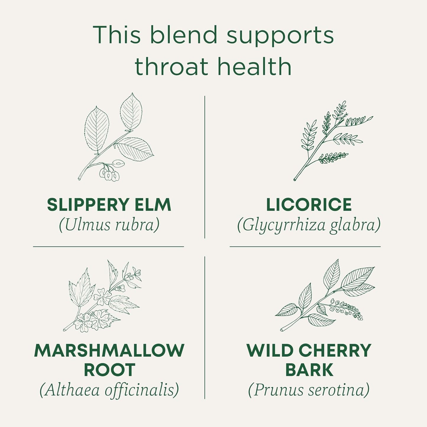 Traditional Medicinals Tea, Organic Throat Coat, Supports Throat Health, 96 Tea Bags (6 Pack) - Nirvana Guru
