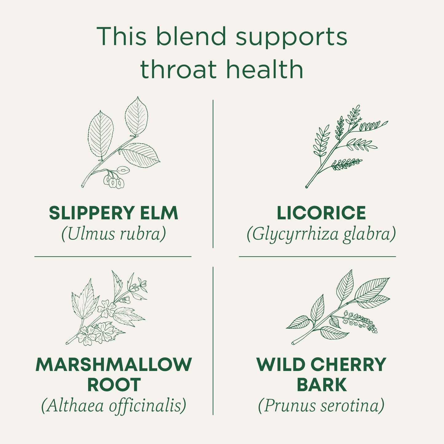 Traditional Medicinals Tea, Organic Throat Coat, Supports Throat Health, 16 Tea Bags - Nirvana Guru