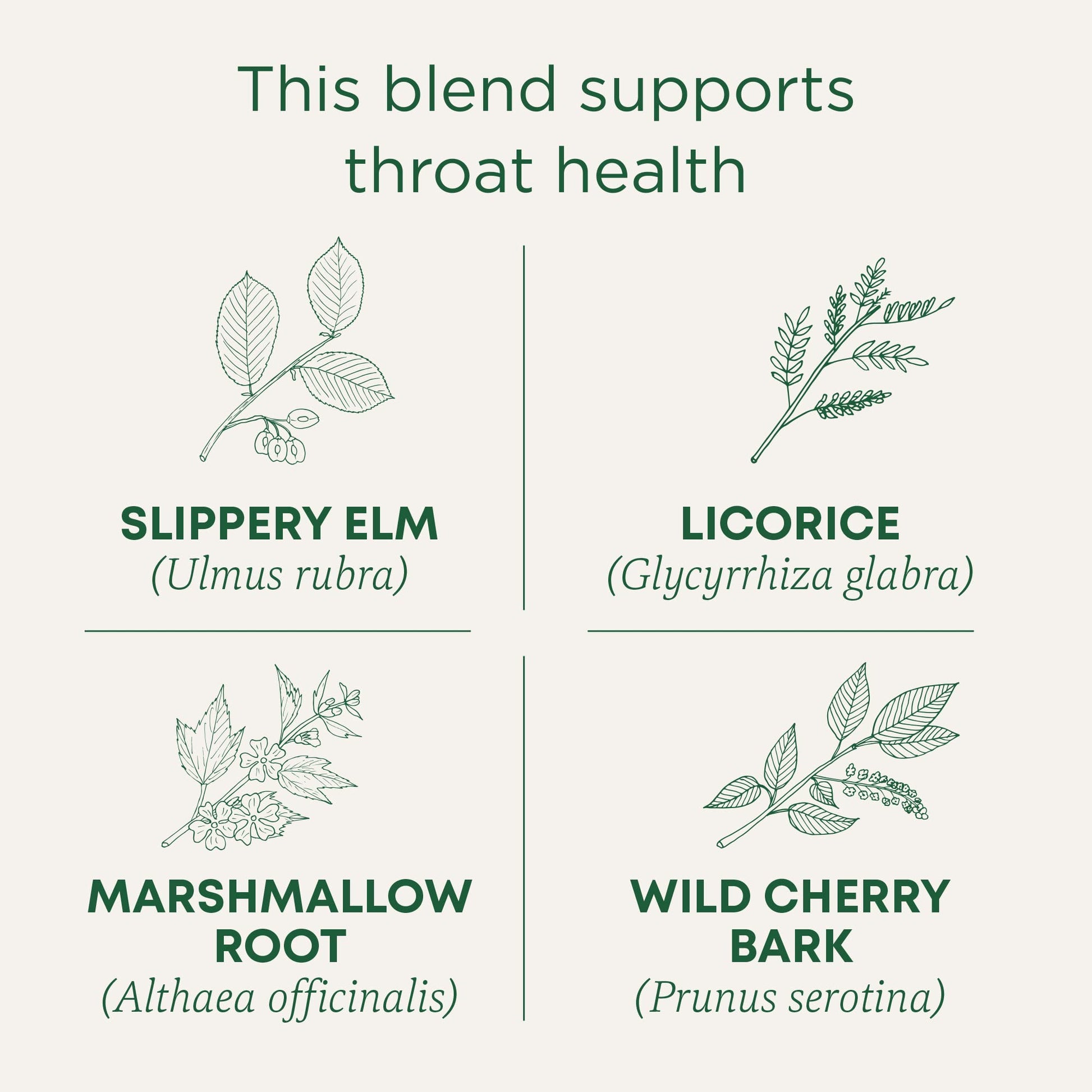 Traditional Medicinals Tea, Organic Throat Coat, Supports Throat Health, 16 Tea Bags - Nirvana Guru