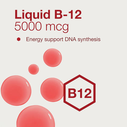 PROTOCOL FOR LIFE BALANCE Liquid B-12 5,000mcg - Nervous System Support - with B Vitamins - Dairy Free & Vegan Vitamin B Liquid - 4 fl oz Nirvana Guru