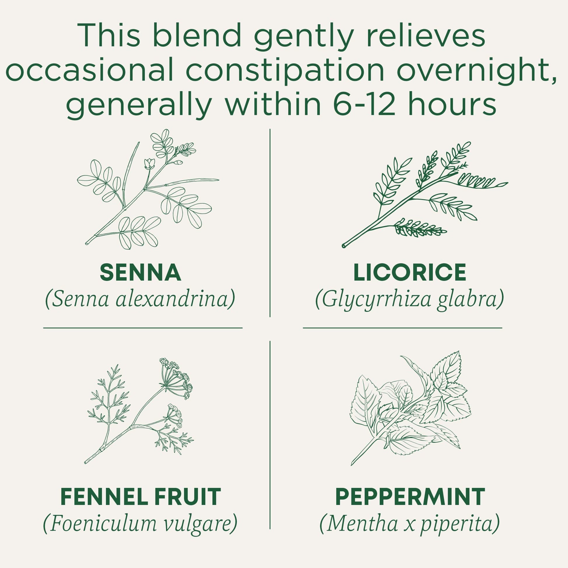 Traditional Medicinals Tea, Organic Smooth Move Peppermint, Relieves Occasional Constipation, Senna, 16 Tea Bags - Nirvana Guru