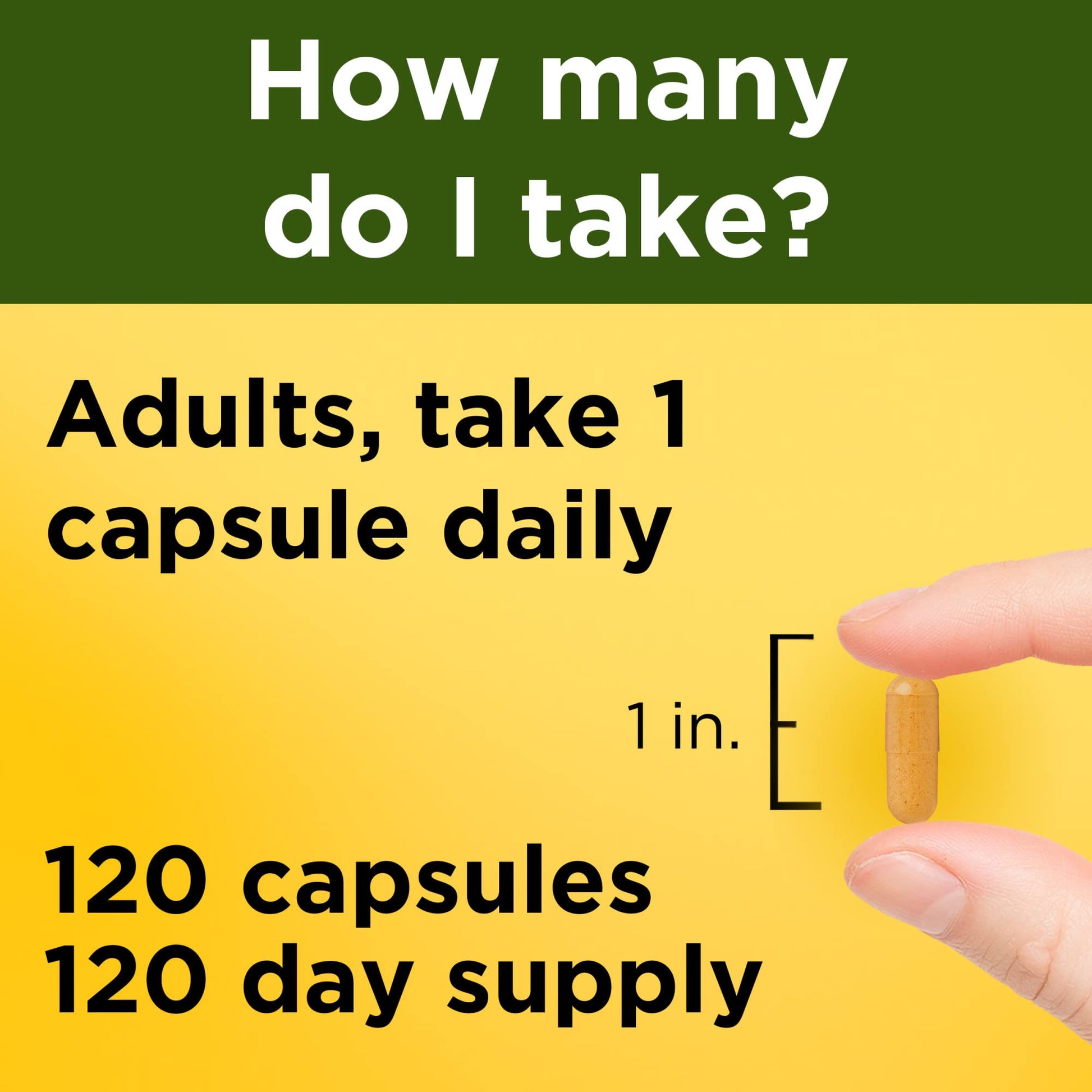 Nature Made Turmeric Curcumin 500 mg, Herbal Supplement for Antioxidant Support, 120 Capsules, 120 Day Supply - Nirvana Guru