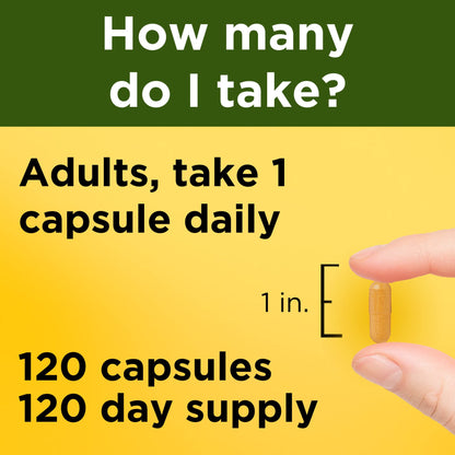 Nature Made Turmeric Curcumin 500 mg, Herbal Supplement for Antioxidant Support, 120 Capsules, 120 Day Supply - Nirvana Guru