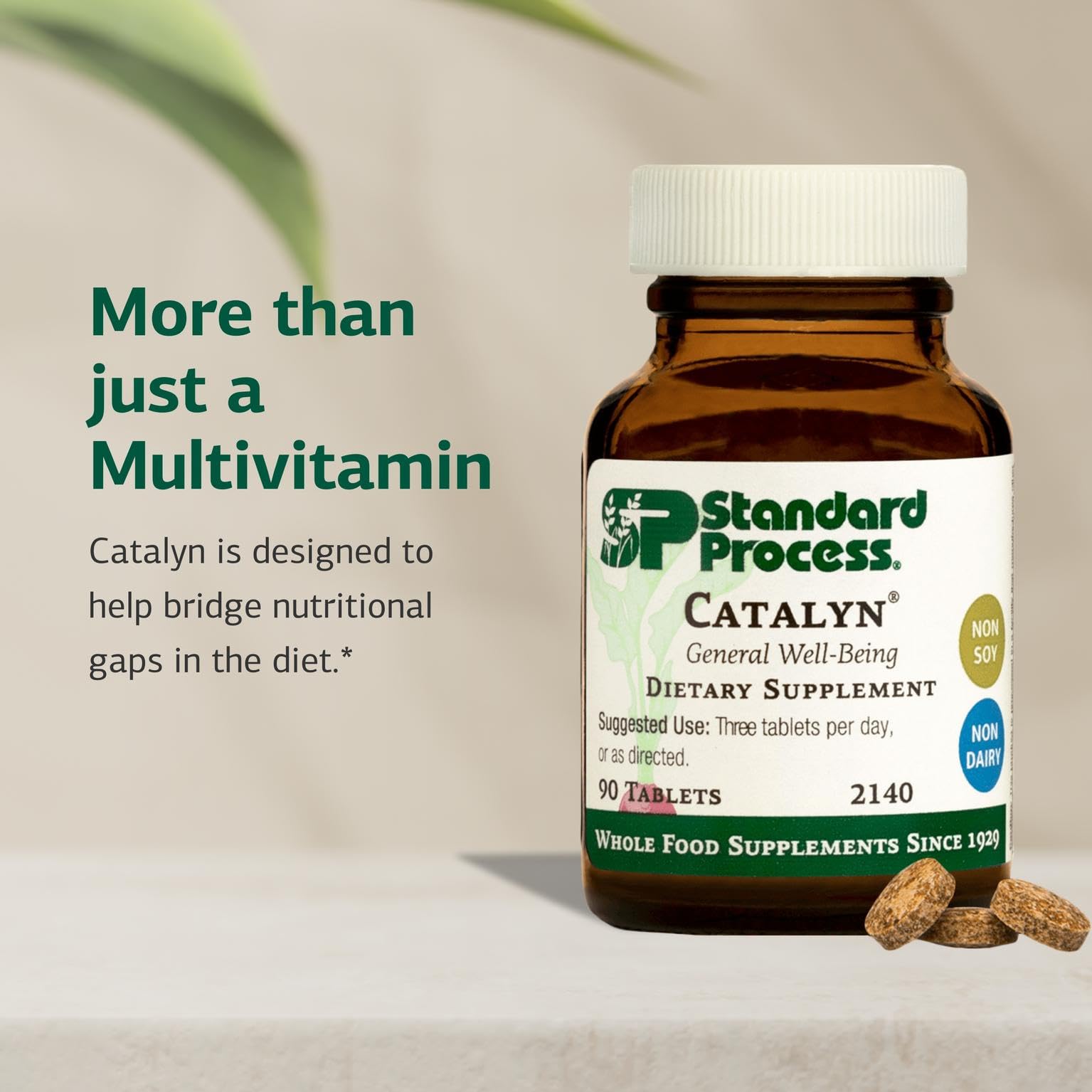 Standard Process Catalyn - Whole-Food Based Foundational Support for General Wellbeing with Vitamins D, C, A & B6, Thiamine, Riboflavin, Magnesium Citrate & More - 90 Tablets Nirvana Guru
