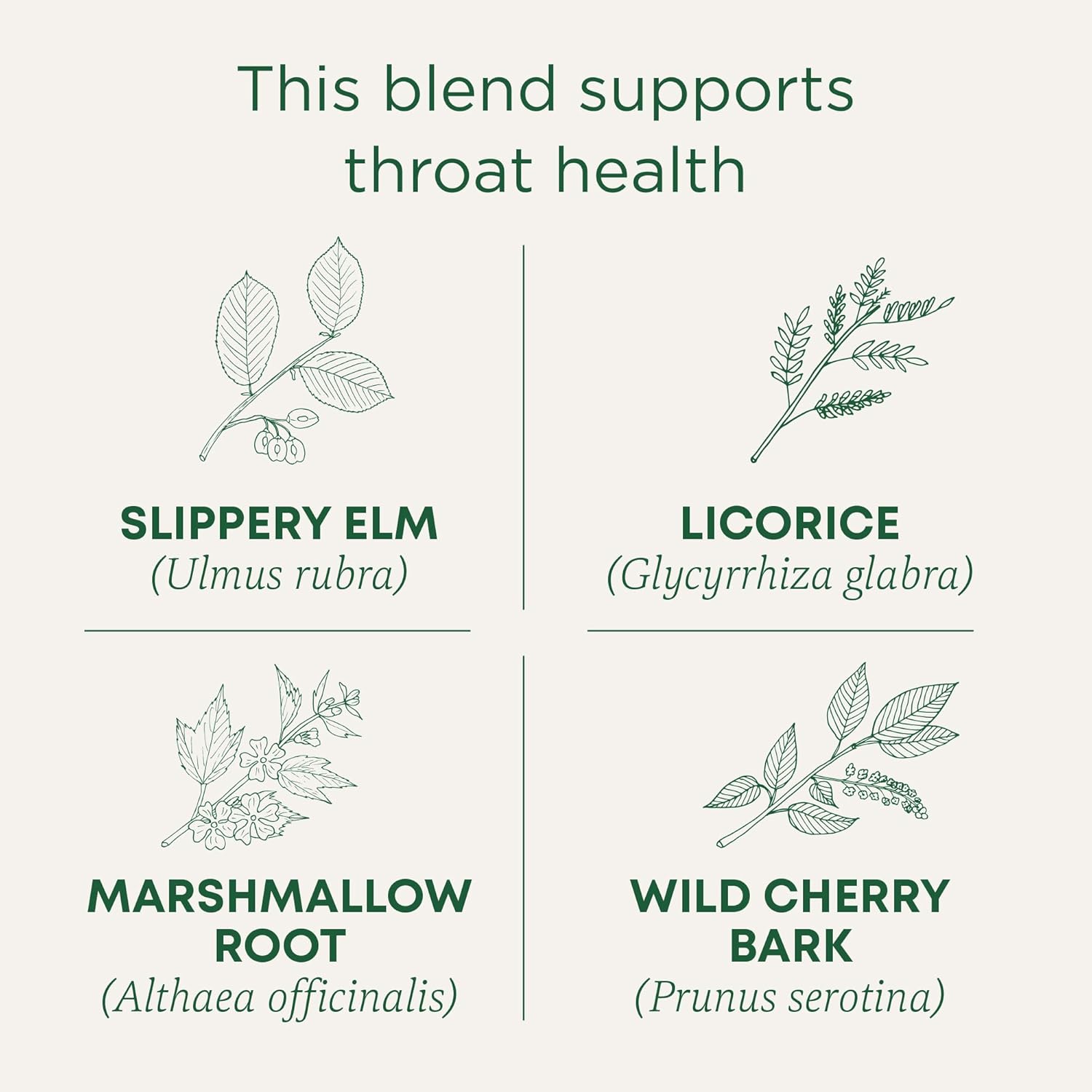 Traditional Medicinals Tea, Organic Throat Coat, Supports Throat Health, 48 Tea Bags - Nirvana Guru