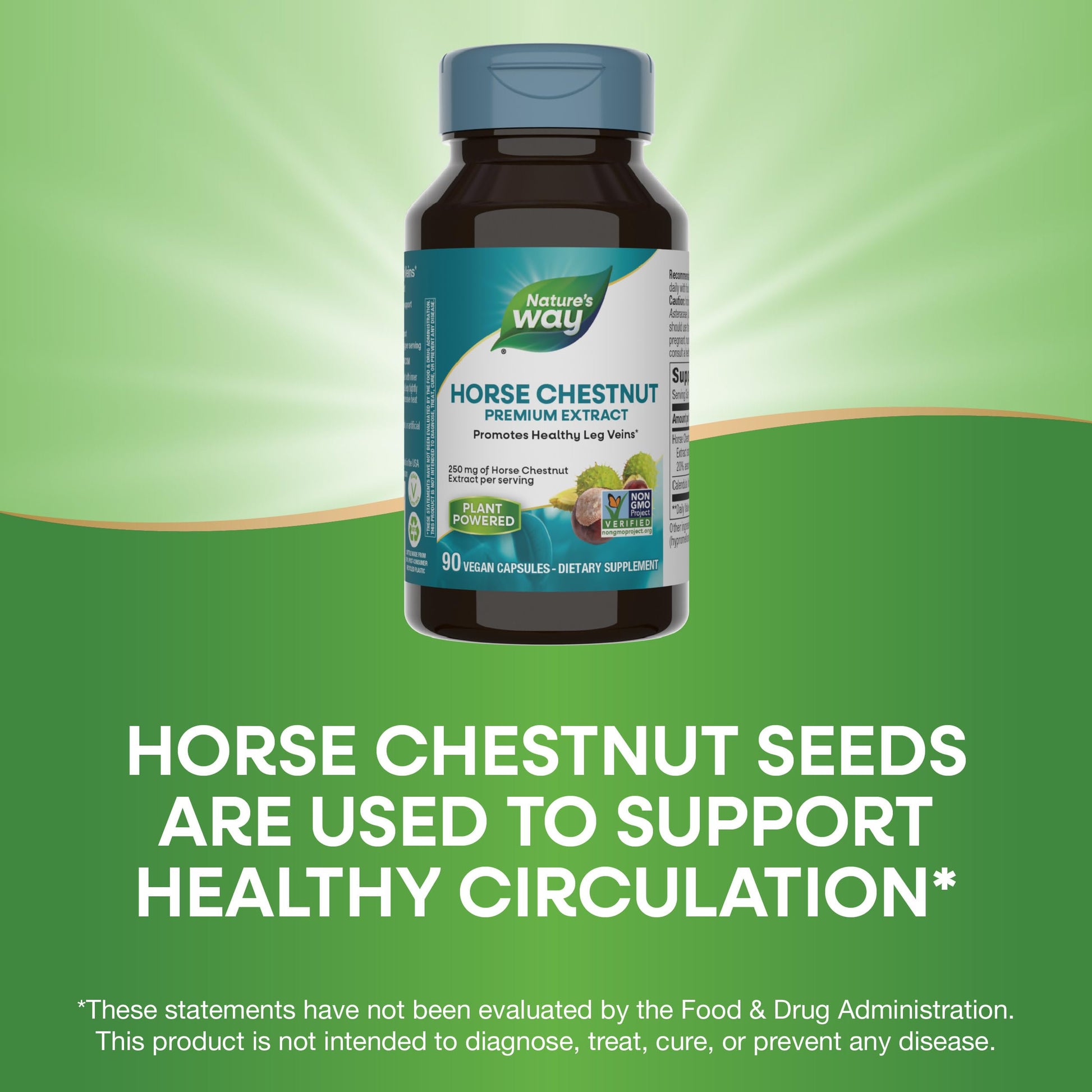 Nature's Way Standardized Horse Chestnut, Premium Extract, Promotes Healthy Leg Veins*, 250 mg per Serving, Vegan, 90 Capsules - Nirvana Guru