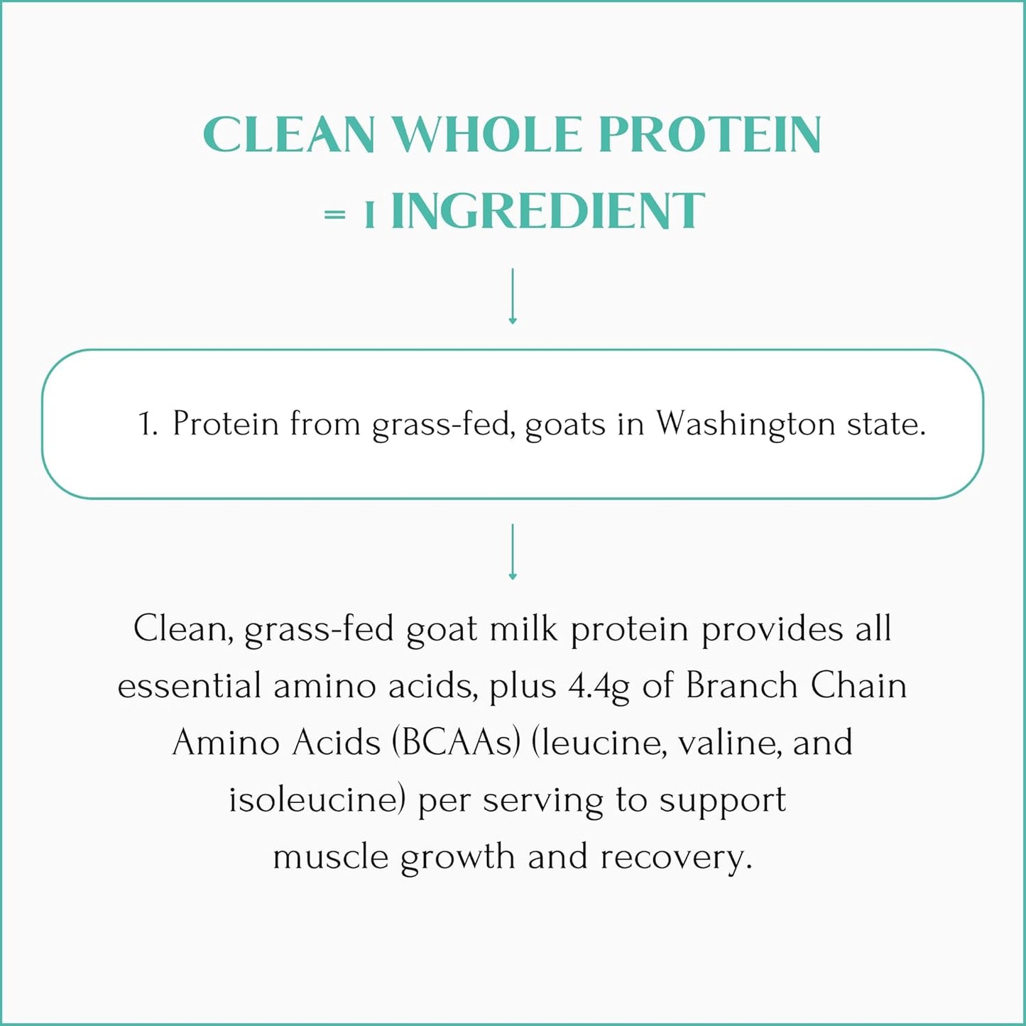 Mt. Capra Clean Whole Protein | Grass-Fed Goat Protein with Whey and Casein Protein | No Bloat, Build and Maintain Muscle, 20 g Protein per Serving, No Sweeteners | 13 Servings - 400 g - Nirvana Guru