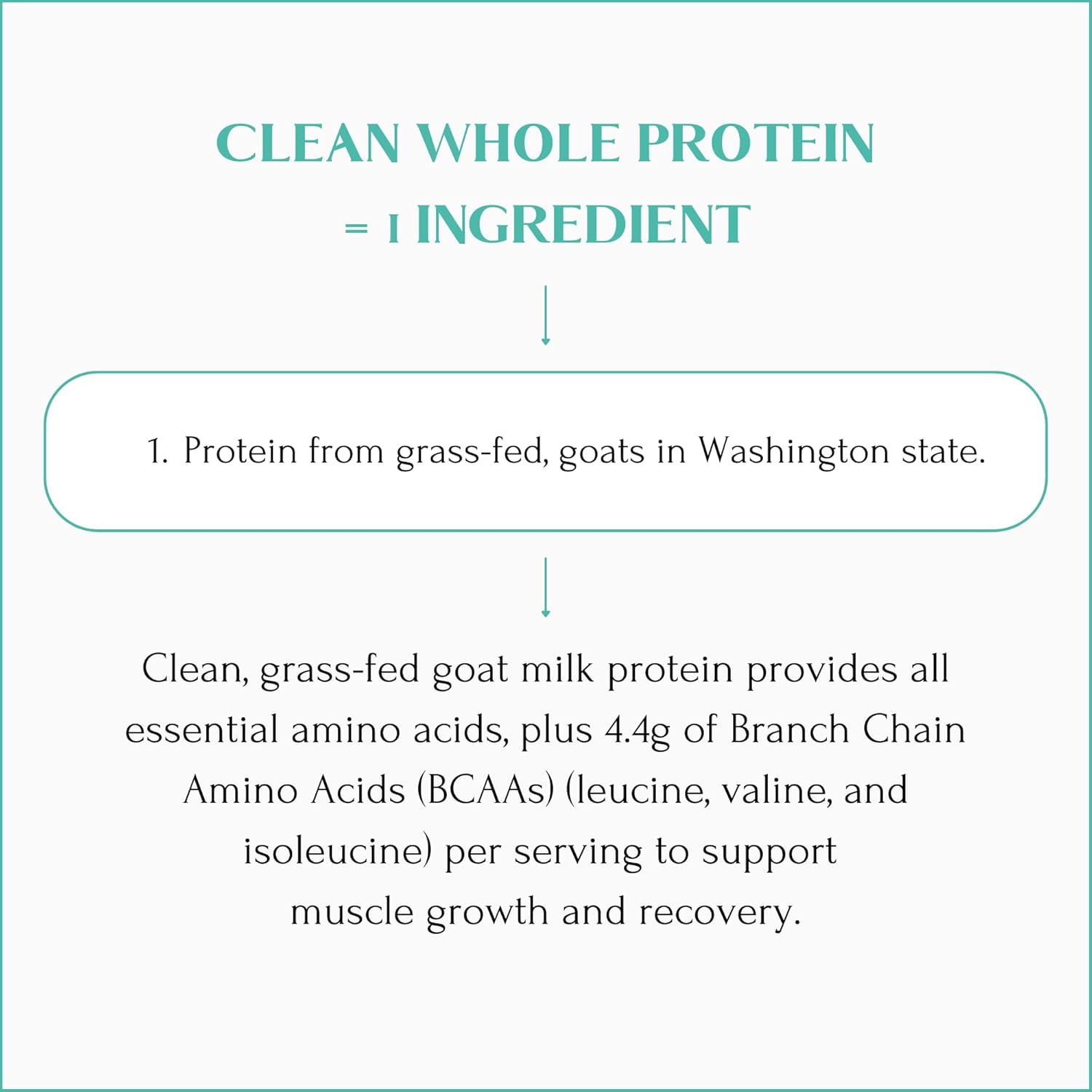 Mt. Capra Clean Whole Protein | Grass-Fed Goat Protein with Whey and Casein Protein | No Bloat, Build and Maintain Muscle, 20 g Protein per Serving, No Sweeteners | 13 Servings - 400 g - Nirvana Guru