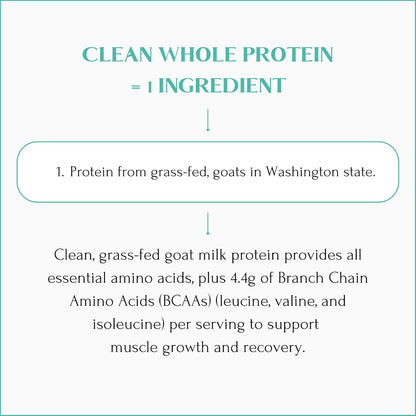 Mt. Capra Clean Whole Protein | Grass-Fed Goat Protein with Whey and Casein Protein | No Bloat, Build and Maintain Muscle, 20 g Protein per Serving, No Sweeteners | 13 Servings - 400 g - Nirvana Guru