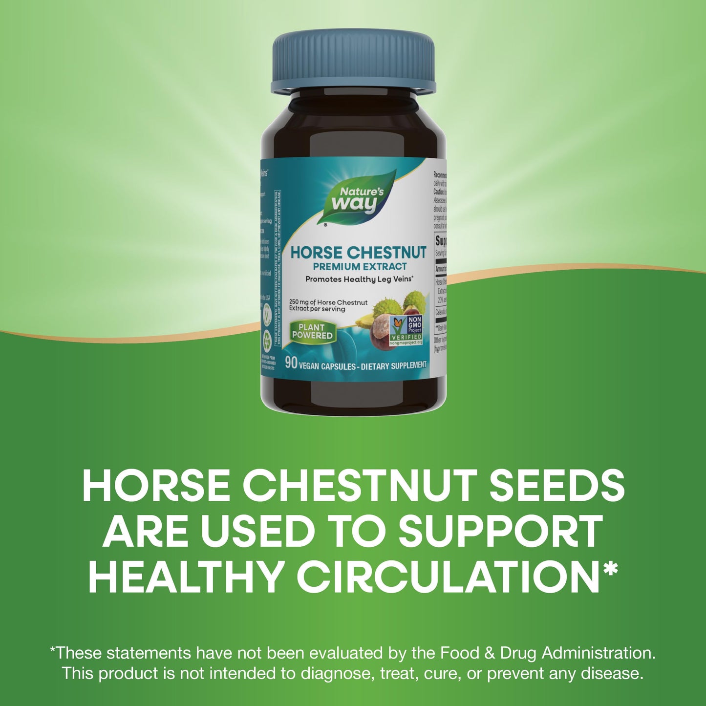 Nature's Way Standardized Horse Chestnut, Premium Extract, Promotes Healthy Leg Veins*, 250 mg per Serving, Vegan, 90 Capsules - Nirvana Guru