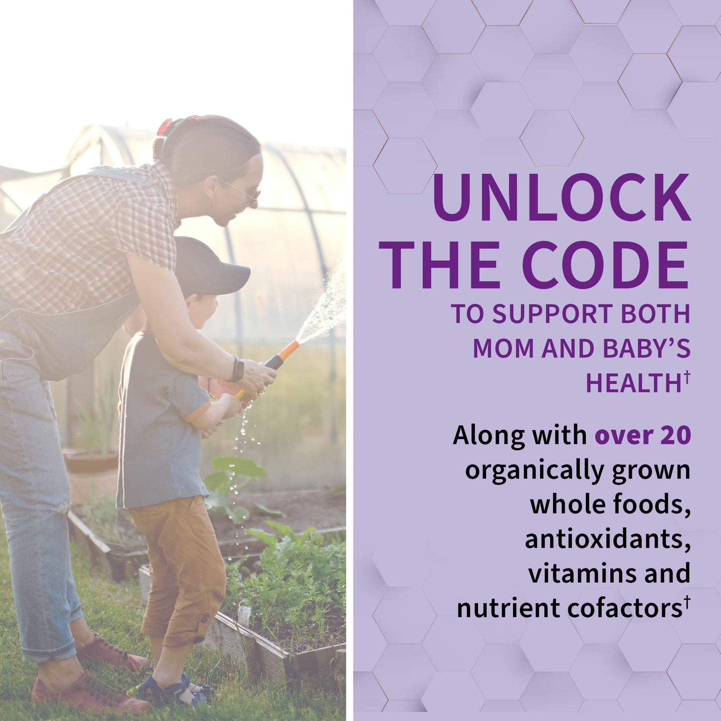 Prenatal Multivitamin for Women from Whole Foods with Biotin, Iron & Folate not Folic Acid, Probiotics for Immune Support - Vitamin Code Raw by Garden of Life - Pregnancy Must Haves - 180 capsules - Nirvana Guru