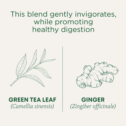 Traditional Medicinals Tea, Organic Green Tea Matcha, Genmaicha, Supports Health, 96 Tea Bags (6 Pack) - Nirvana Guru