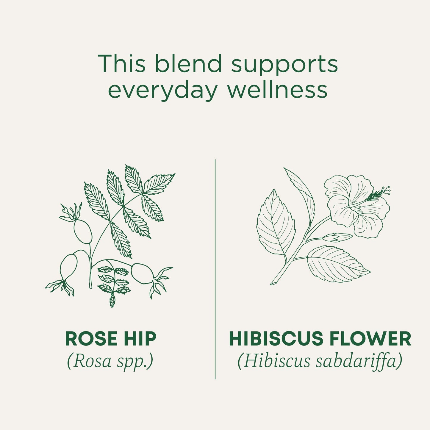 Traditional Medicinals Organic Red Clover, Caffeine Free, 16 Wrapped Tea Bags, 1.13 oz (32 g) - Nirvana Guru