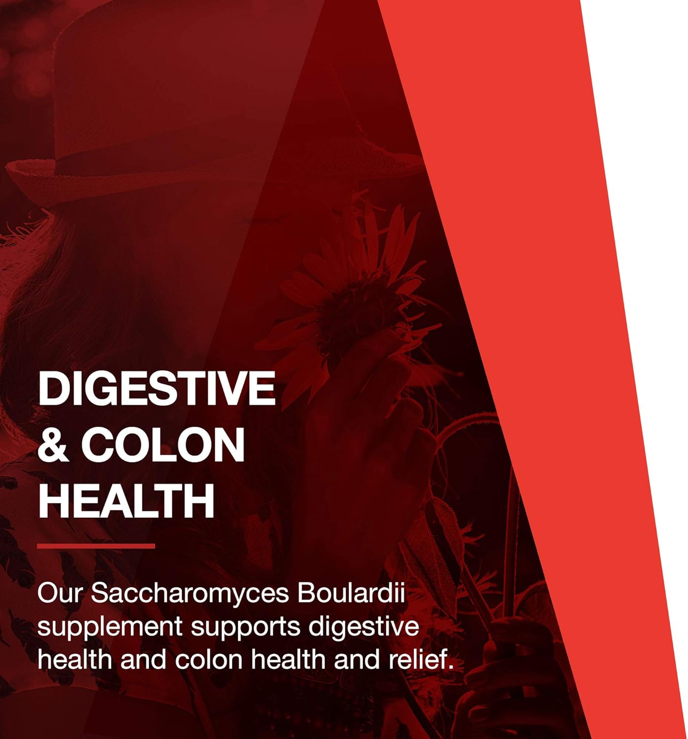 PROTOCOL FOR LIFE BALANCE Saccharomyces Boulardii - 10 Billion CFU - Probiotic Supplement - Support Gut Health & Digestive Health - Relieves Occasional Diarrhea - Halal & Kosher - 60 Veg Caps Nirvana Guru