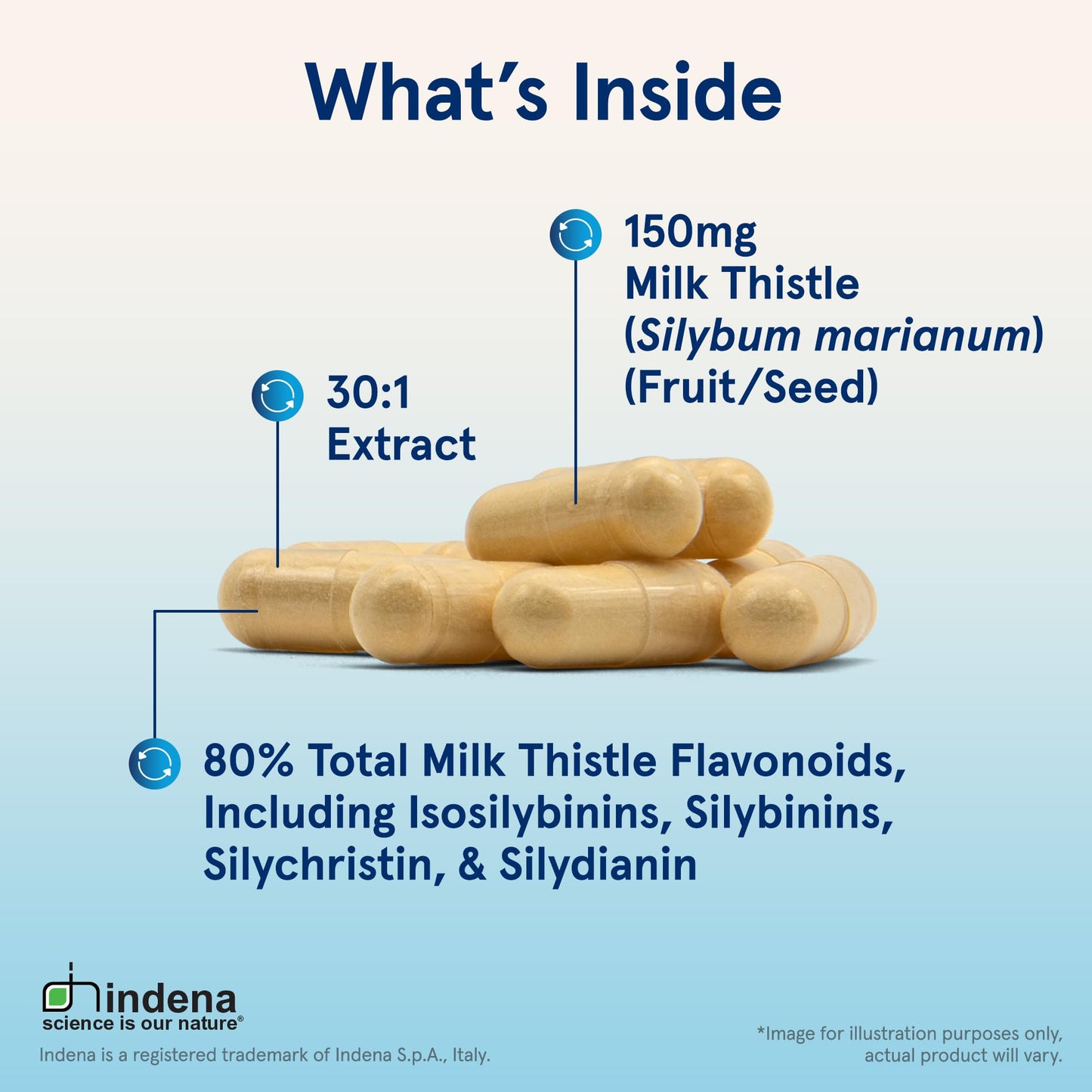 Jarrow Formulas Milk Thistle 150 mg With 30:1 Standardized Silymarin Extract, Dietary Supplement for Liver Function Support, 200 Veggie Capsules, 66-200 Day Supply - Nirvana Guru
