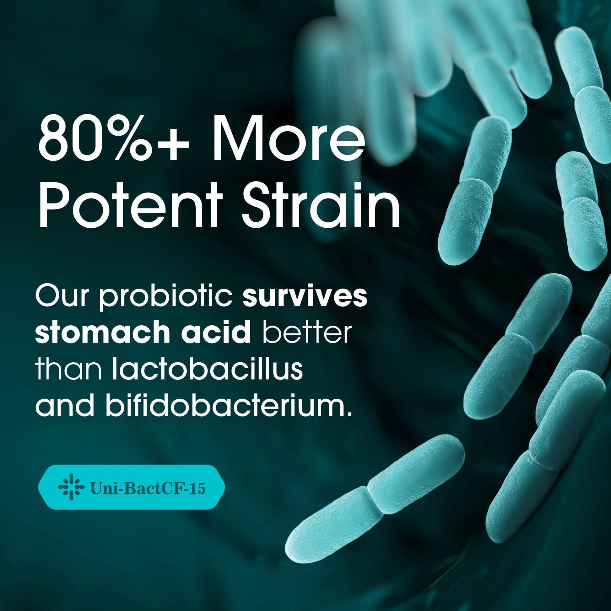 Nutrition Essentials Probiotics for Women and Men - with Lactase Enzyme and Prebiotic Fiber for Digestive Health - 80 Percent + More Potent Supplement for Gut Health Support - Vegan Formula Nirvana Guru
