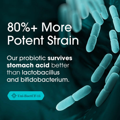 Nutrition Essentials Probiotics for Women and Men - with Lactase Enzyme and Prebiotic Fiber for Digestive Health - 80 Percent + More Potent Supplement for Gut Health Support - Vegan Formula Nirvana Guru