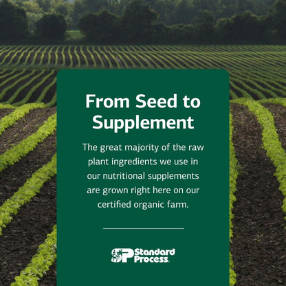 Standard Process Catalyn - Whole-Food Based Foundational Support for General Wellbeing with Vitamins D, C, A & B6, Thiamine, Riboflavin, Magnesium Citrate & More - 90 Tablets Nirvana Guru