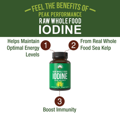 Raw Whole Food Iodine Supplement from Organic Kelp (Ascophyllum Nodosum) by Peak Performance. Potassium Iodide Support Tablets. for Metabolism, Energy, and Immune. 60 Vegan Capsules, Pills. Nirvana Guru
