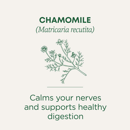 Traditional Medicinals Tea, Organic Chamomile, Calming, Calms Your Nerves, Supports Healthy Digestion, 96 Tea Bags (6 Pack) - Nirvana Guru