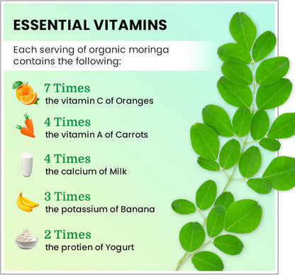 Organic Moringa, Nutrient-Dense Antioxidant Support with Vitamin C, A, E, Calcium, Potassium, Iron, Magnesium, Protein & Amino Acids for Hydration & Energy, Vegan, 1200 MG Per Serving, 90 CT