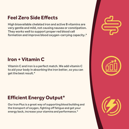 Doctor's Recipes Iron Supplement 65 mg with Vitamin C - Maximized Absorption, Stomach Friendly & High Potency Iron Pills for Red Blood Cells Formation & Immunity Health - Vegan Non-GMO 60 Iron Tablets Nirvana Guru