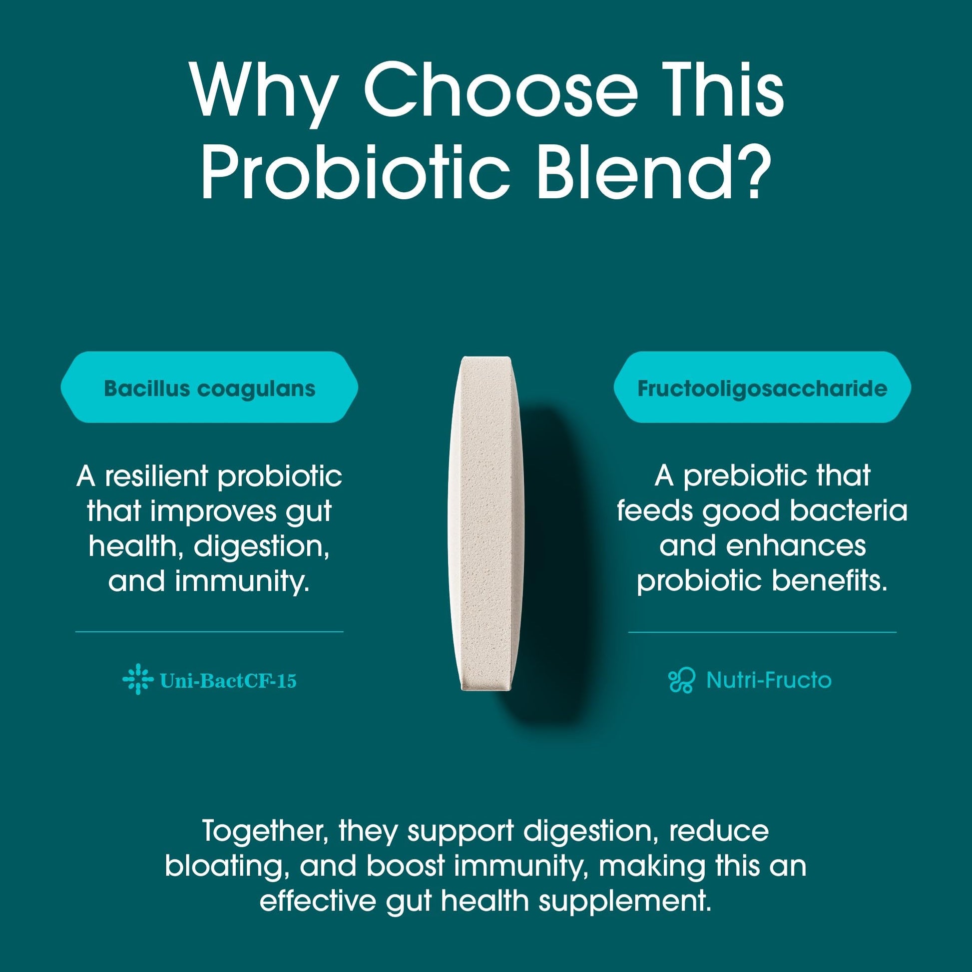 Nutrition Essentials Probiotics for Women and Men - with Lactase Enzyme and Prebiotic Fiber for Digestive Health - 80 Percent + More Potent Supplement for Gut Health Support - Vegan Formula Nirvana Guru