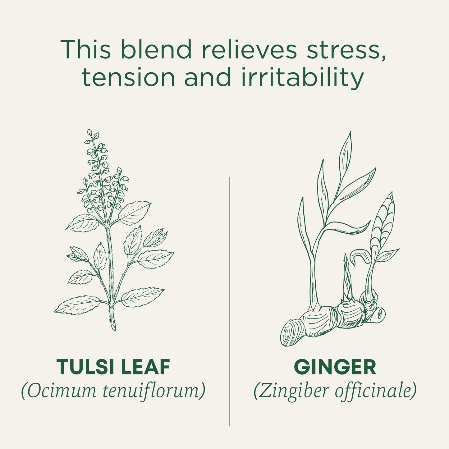 Traditional Medicinals Tea, Organic Chamomile, Calming, Calms Your Nerves, Supports Healthy Digestion, 96 Tea Bags (6 Pack) - Nirvana Guru