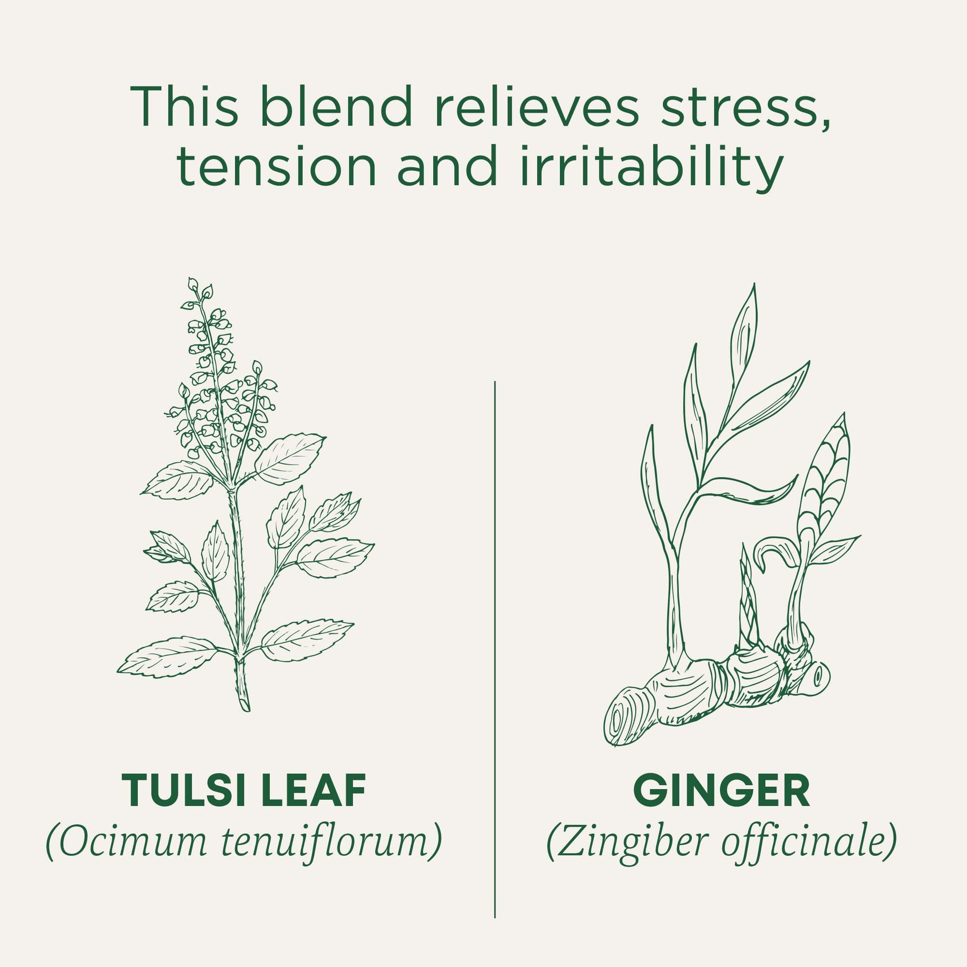 Traditional Medicinals Tea, Organic Chamomile, Calming, Calms Your Nerves, Supports Healthy Digestion, 96 Tea Bags (6 Pack) - Nirvana Guru
