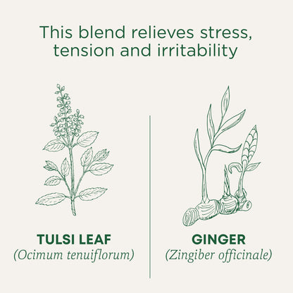Traditional Medicinals Tea, Organic Chamomile, Calming, Calms Your Nerves, Supports Healthy Digestion, 96 Tea Bags (6 Pack) - Nirvana Guru