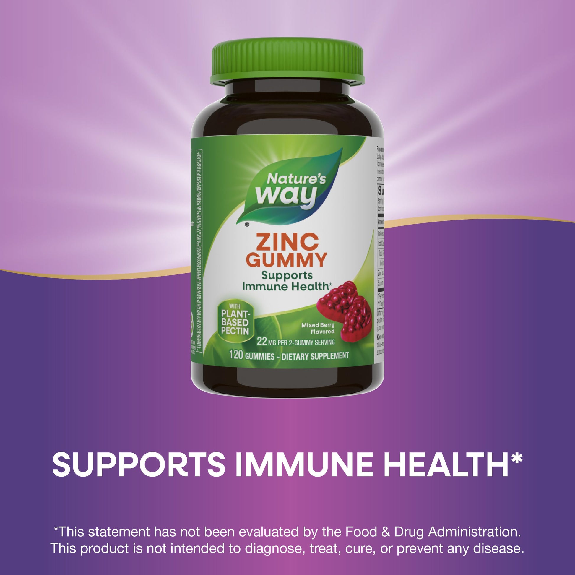 Nature's Way Zinc Gummies, Daily Immune Support Gummies*, 100% Daily Value Zinc per Gummy, Mixed Berry Flavored, 120 Gummies - Nirvana Guru