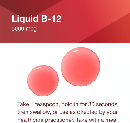 PROTOCOL FOR LIFE BALANCE Liquid B-12 5,000mcg - Nervous System Support - with B Vitamins - Dairy Free & Vegan Vitamin B Liquid - 4 fl oz Nirvana Guru