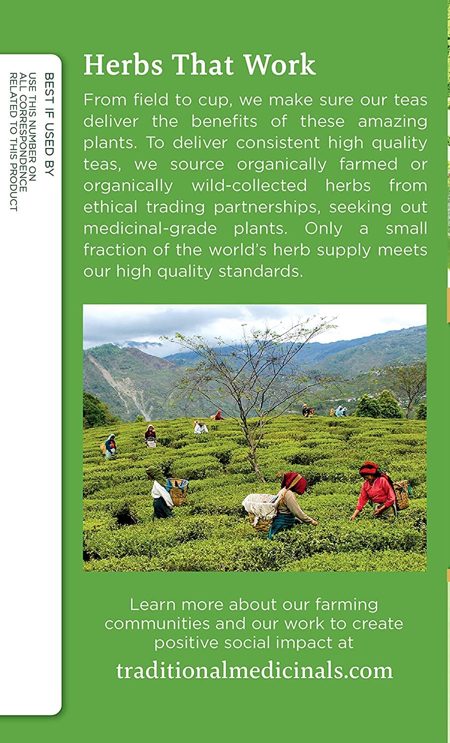 Traditional Medicinals Tea, Organic Green Tea Matcha, Genmaicha, Supports Health, 96 Tea Bags (6 Pack) - Nirvana Guru