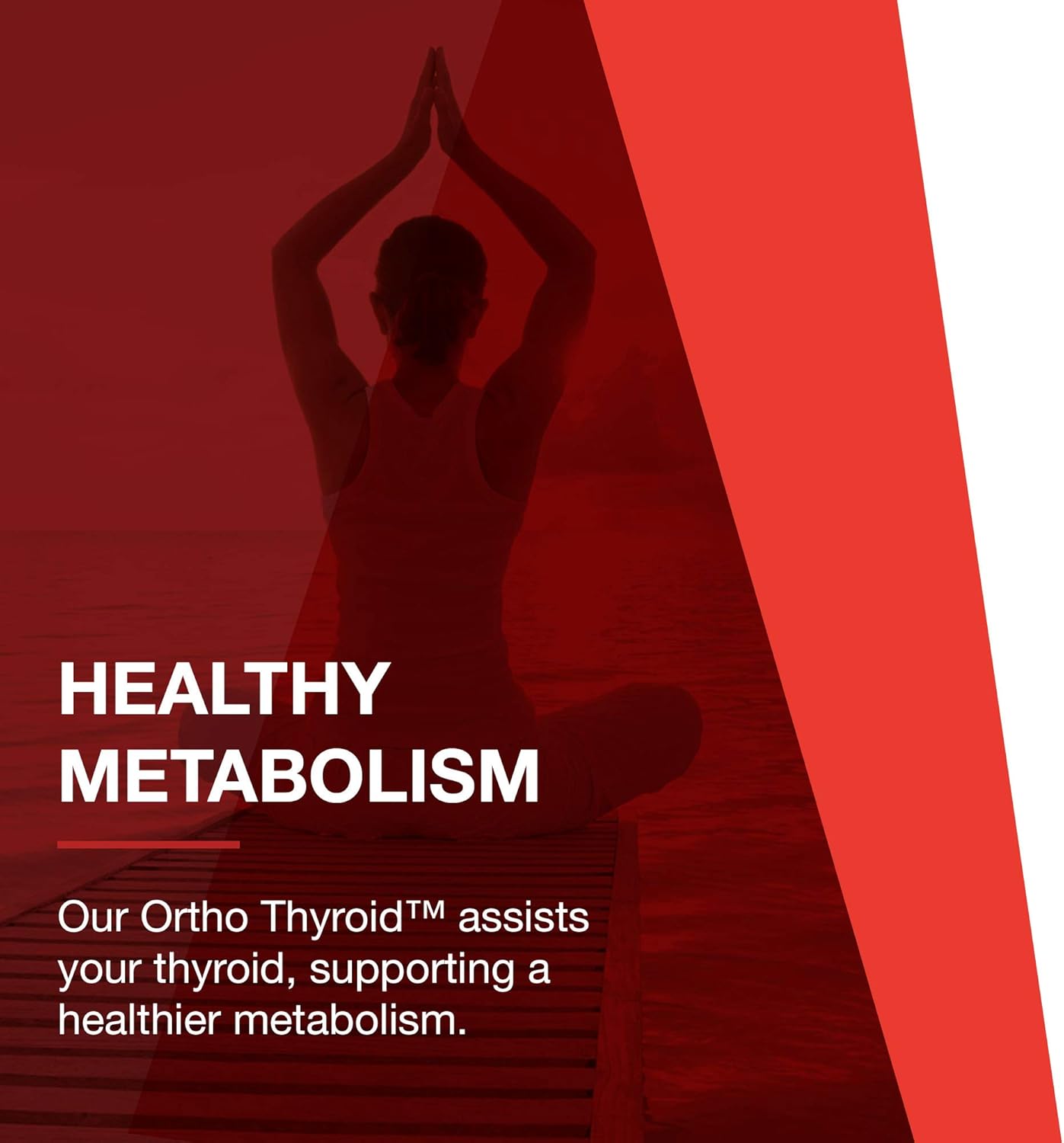 Protocol Ortho Thyroid - Supports Healthy Thyroid Function* - with Ashwagandha, Zinc & Selenium - Non-GMO & Kosher - 90 Veg Capsules Nirvana Guru