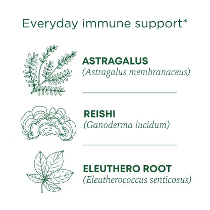Traditional Medicinals Tea, Organic Stress Ease Immune with Adaptogens, Everyday Immune Support, Reishi Warming Spice, 16 Tea Bags - Nirvana Guru